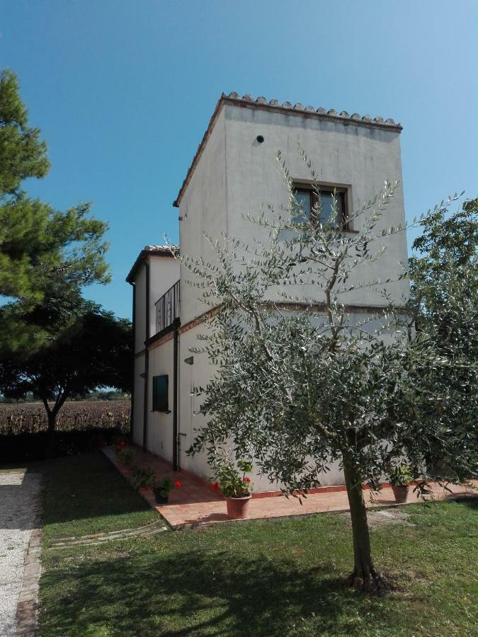 Silos Torrenova Potenza Picena Exteriér fotografie